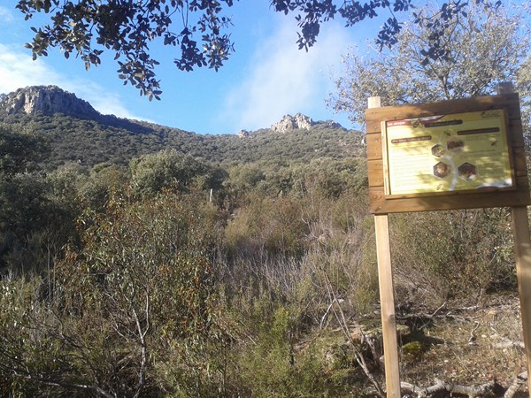 Aula Apícola Sierra de Hoyo