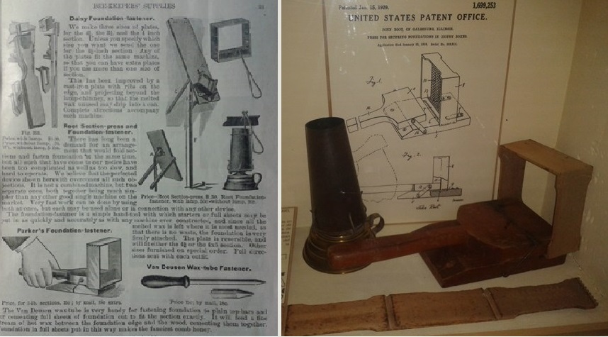 Historia de la apicultura