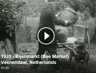 Mercado de abejas en Holanda
