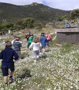 Club "pequeños Naturalistas"