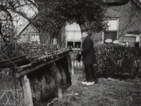 Informar a las abejas