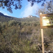 El Aula Apícola como ejemplo modelo