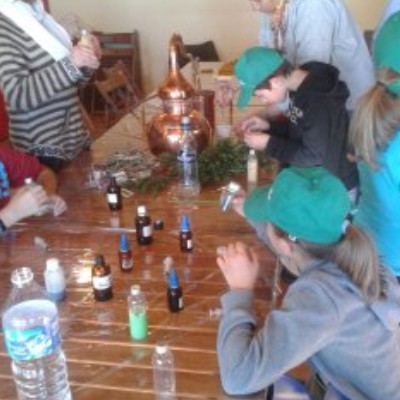 aromaticas