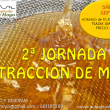 Productos de las abejas: Jornada de extracción de miel