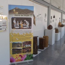 Miel de Madrid. Próxima cita, Casa de Campo