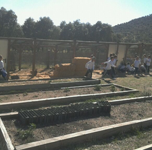 Cronicas de un huerto escolar