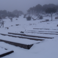 Crónica del huerto escolar: 5ª semana