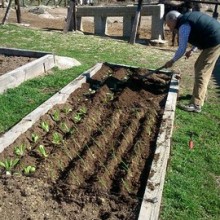 Crónica del Huerto Escolar: 6ª semana