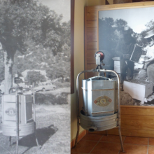 Recuerdos de olor a miel (I)