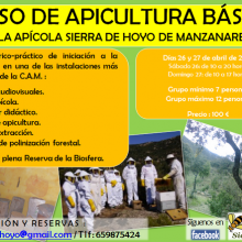 Curso de apicultura en Hoyo de Manzanares