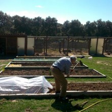 Crónica del Huerto Escolar: 8ª semana