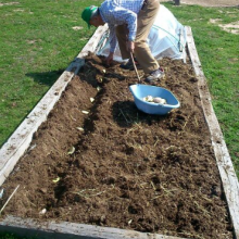 Crónica del Huerto Escolar: 9ª semana