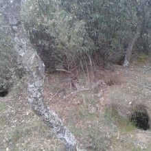 Ocio en familia: rastros y huellas