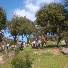 Actividades para colegios: «La Fábrica de miel»