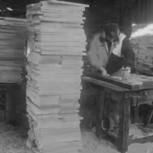 Peripecias de un apicultor novato (III)