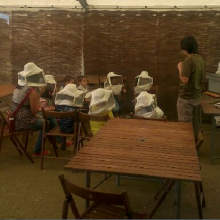 Actividades para colegios: 1º de infantil