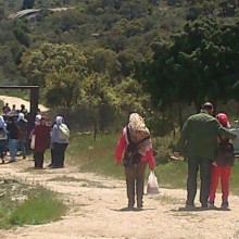 Visitas de colegios: la miel en el Islam