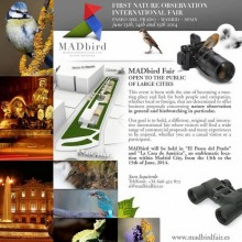 Birdwatching en Hoyo de Manzanares.