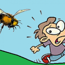 Recuerdos de olor a miel. Una abeja enfadada