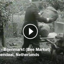Mercado de abejas Veenendaal, 1925