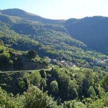 Peripecias de un apicultor novato. Clienta inesperada.