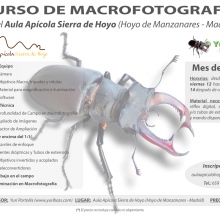 Curso de fotografía con Macro.