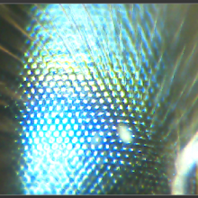 Sobre la vista de las abejas