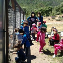 Actividades para colegios. CP Virgen de la Encina