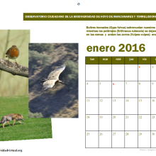 Calendario Biodiversidad Hoyo de Manzanares