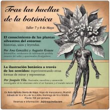 «Tras las huellas de la botánica»