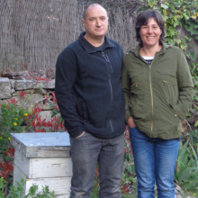 Aula Apícola Sierra de Hoyo