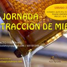 5ª Jornada de extracción de miel