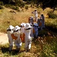 Actividades para colegios. Jornada de puertas abiertas.