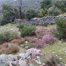 Reconstrucción de un colmenar tradicional