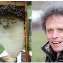 Curso de apicultura Biodinámica