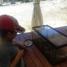 Balance Campamento de Verano 2017