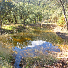 Club del pequeño naturalista: diciembre