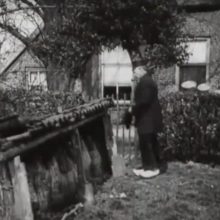 Informar a las abejas. Una ancestral tradición.