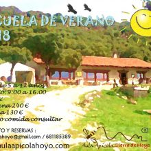 Escuela de verano 2018