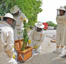 Acuerdo con Bomberos de Madrid: formación en recogida de enjambres