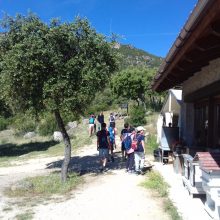 Actividades para colegios. Identificación de aves.