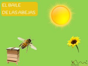 Comunicación de las abejas