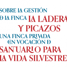 La Ladera y Picazos: un santuario privado para la biodiversidad