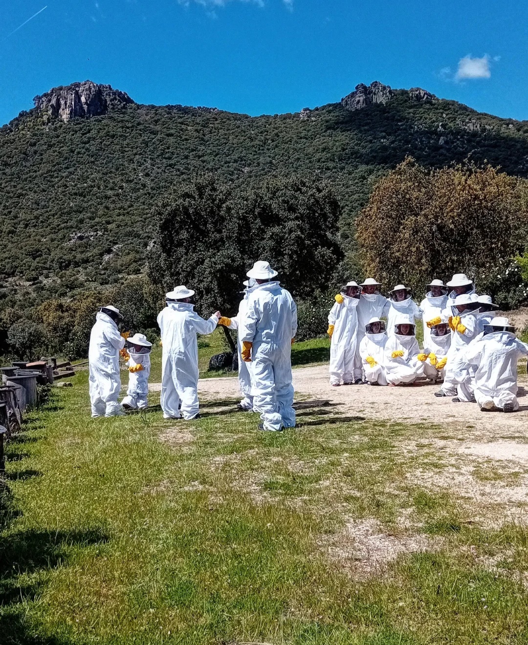 Aula Apícola Sierra de Hoyo